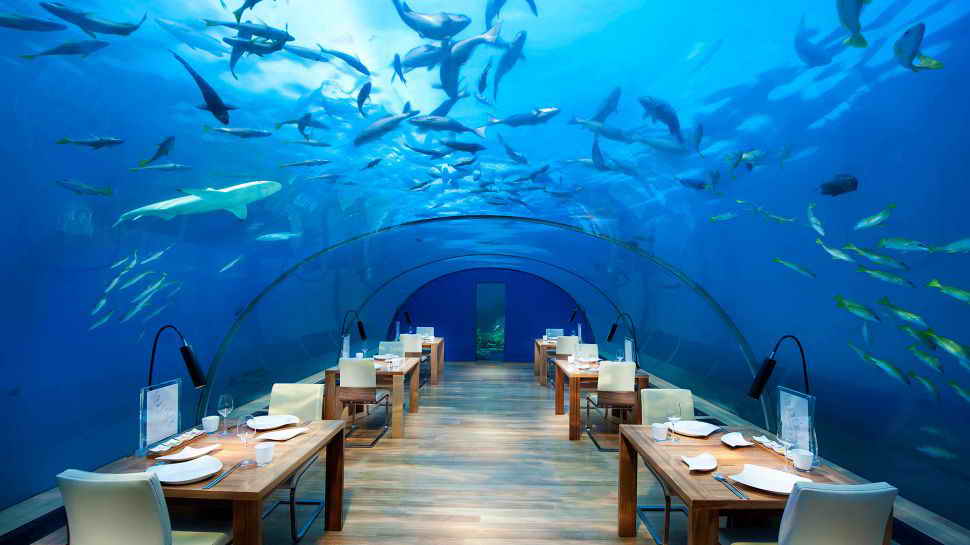 Подводный ресторан Ithaa - Мальдивы